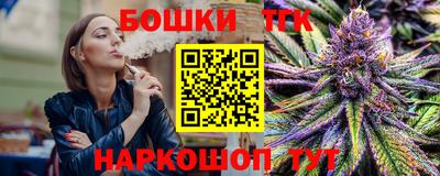 индика Ярославль