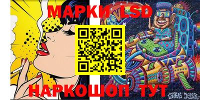 индика Ярославль