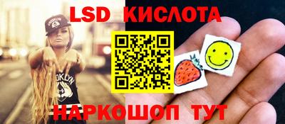 индика Ярославль