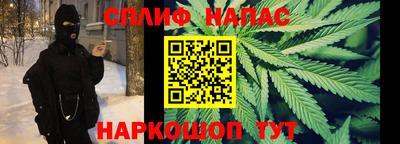 индика Ярославль
