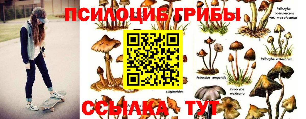 Горячий Ключ  Псилоцибиновые грибы MAGIC MUSHROOMS  Вход с VPN 